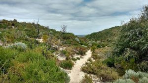 Cape to Cape Track